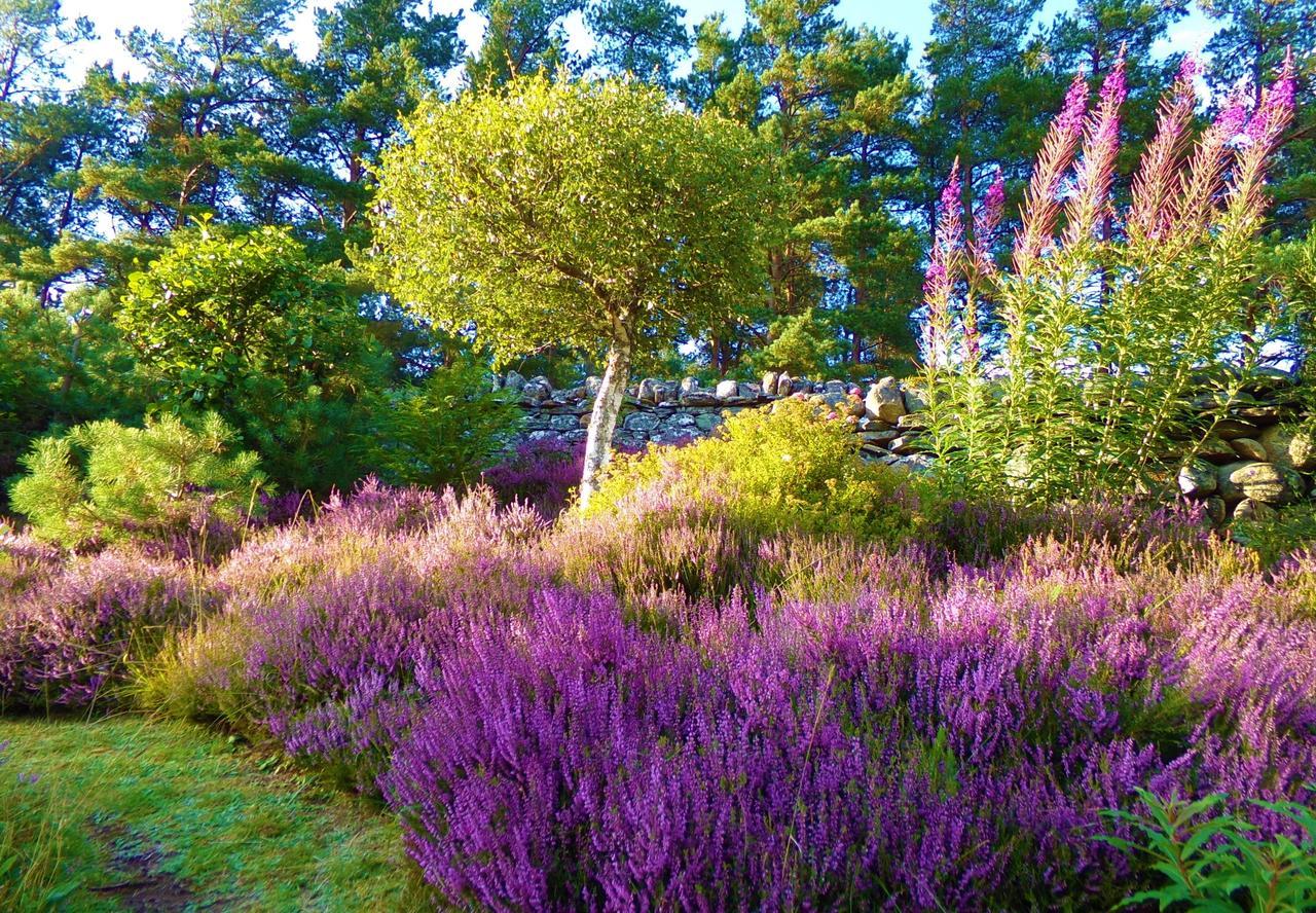 Serendipity Bed And Breakfast Dalchreichart ภายนอก รูปภาพ