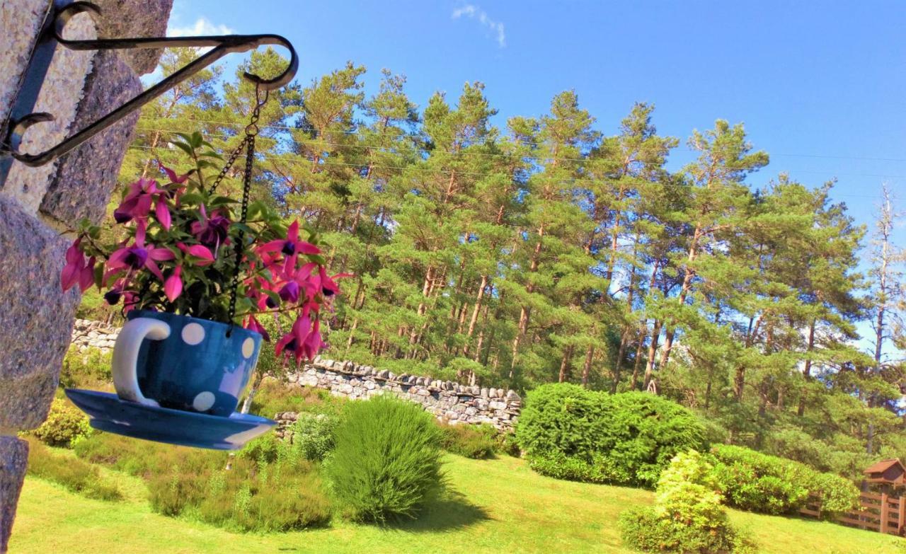 Serendipity Bed And Breakfast Dalchreichart ภายนอก รูปภาพ